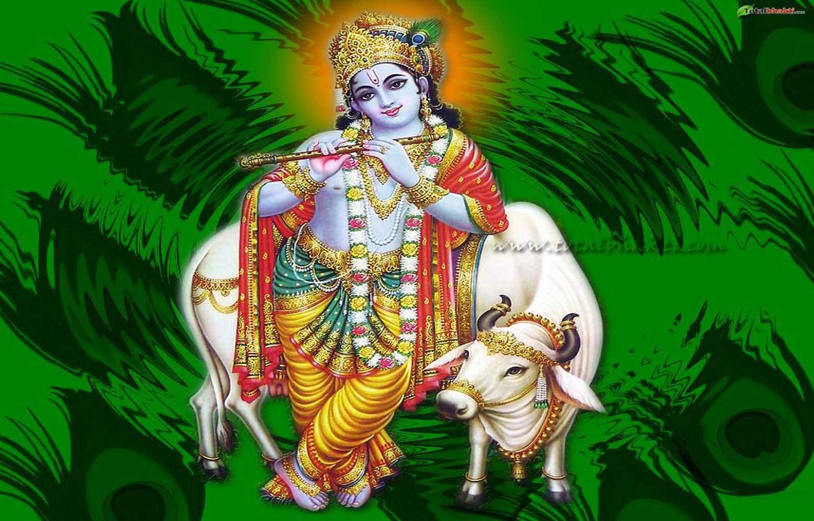 Krishna Wallpaper Desktop free download