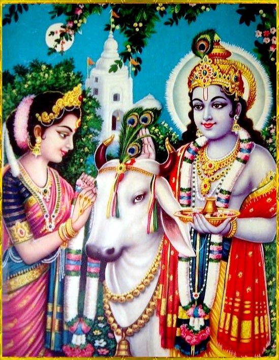 Discover the Beauty of Krishna