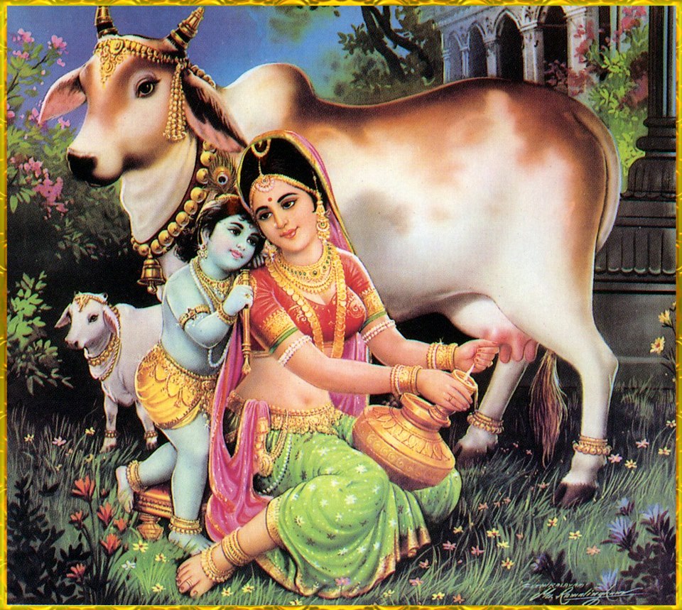 Download Janmashtami Krishna Wallpapers
