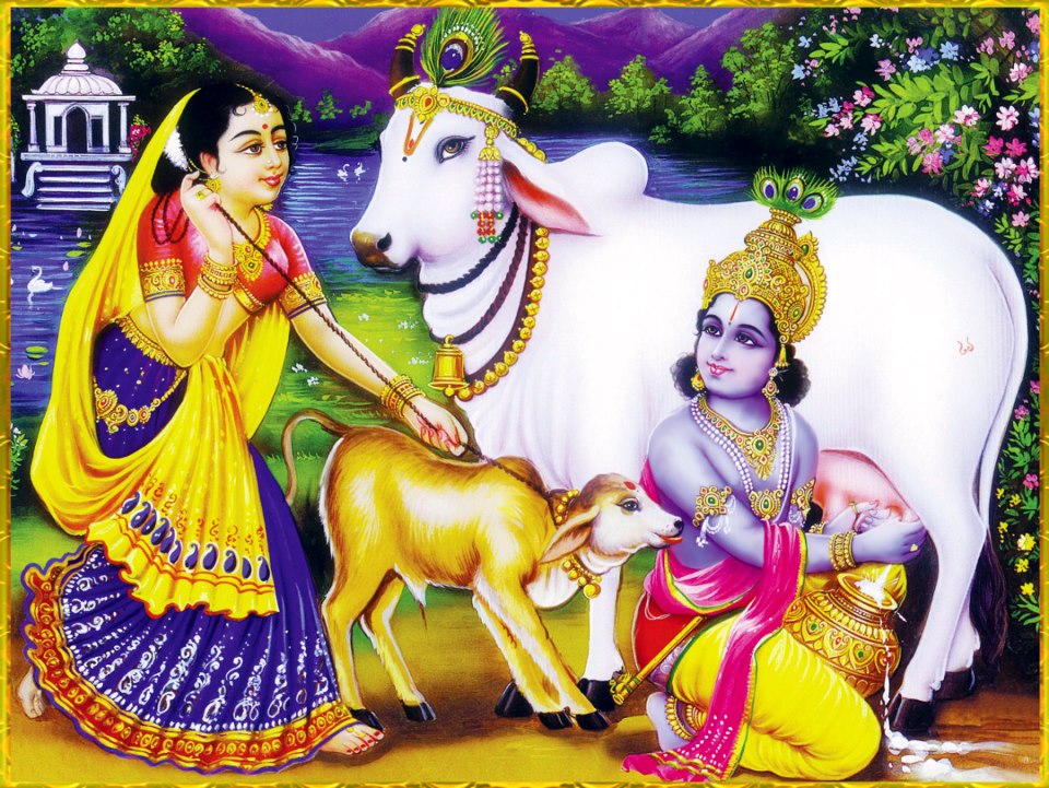 Download Krishna Wallpapers for Free