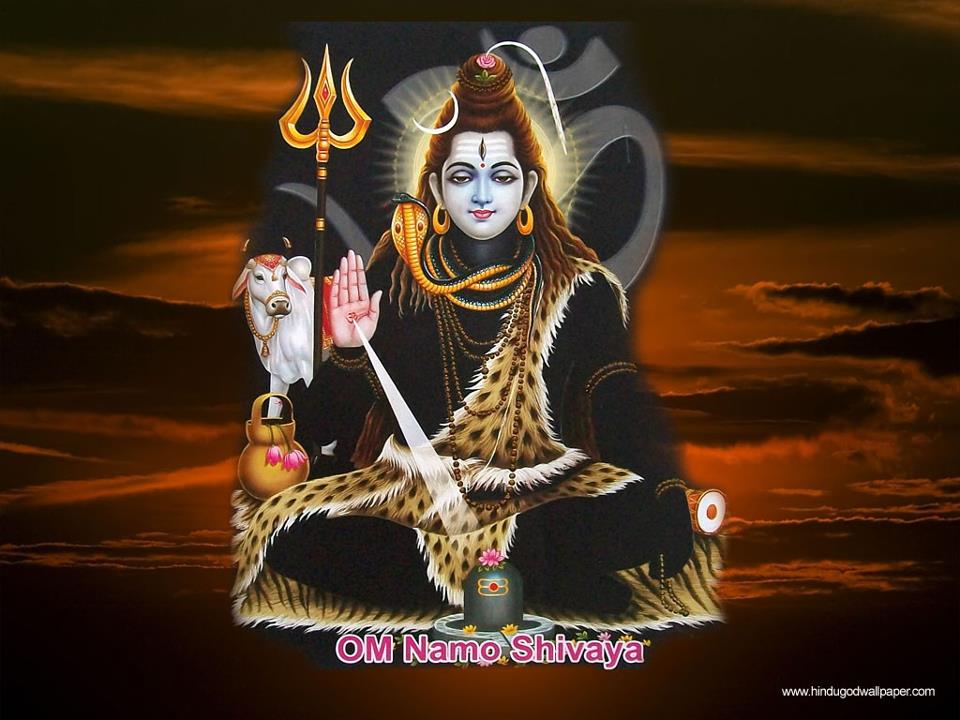HD shiv wallpapers free download at Bhagvanpics
