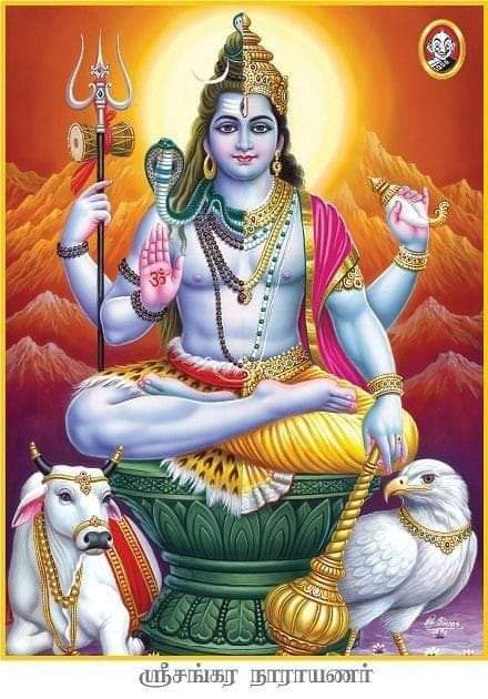 HD shiv wallpapers free download at Bhagvanpics